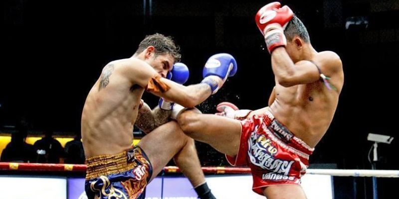 Các kèo cá cược boxing chính