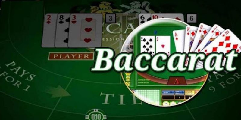 Công cụ dự đoán Baccarat tăng tỷ lệ thắng